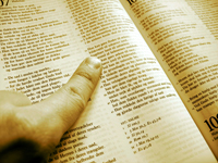 Bible Studies